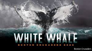 White Whale poster